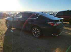 2020 Lexus ES 300h